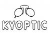 kyoptic - opticien paris a paris (opticien)
